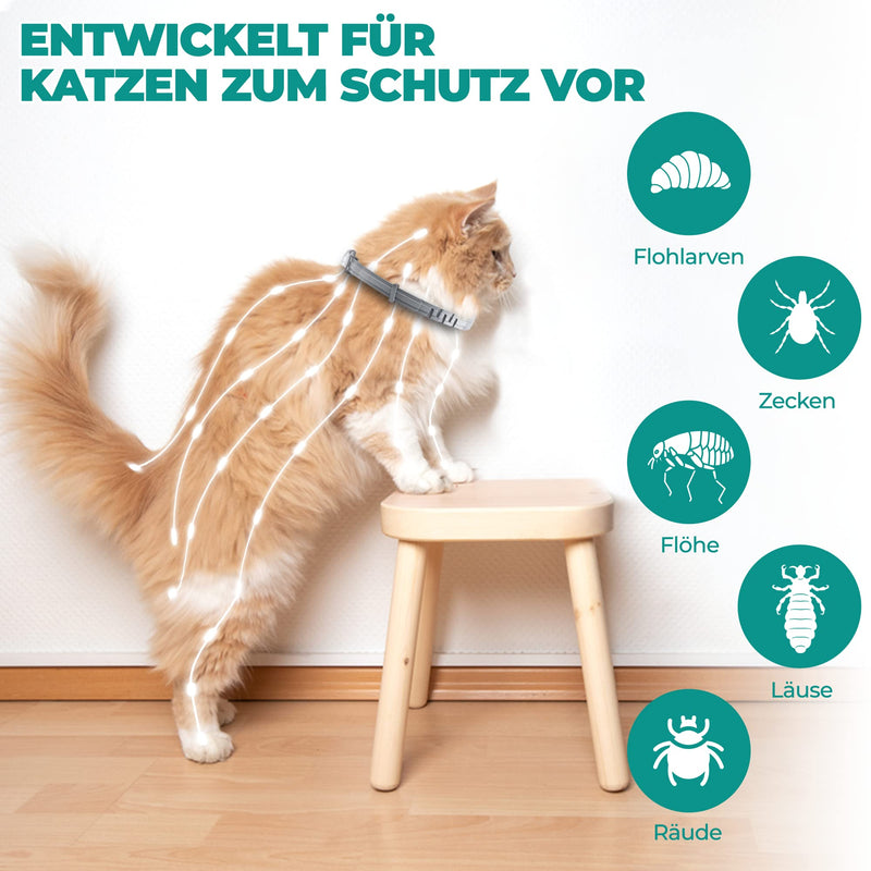 Tick collar for cats and small dogs | Luminous prevention collar against parasites with up to 8 months of protection | Fluorescent collar universally adjustable to any size - BeesActive Australia
