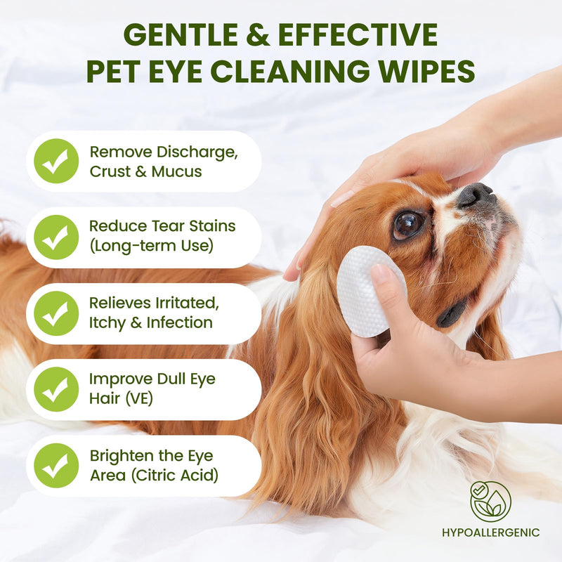 Eye Wipes for Dogs & Cats, Hypoallergenic Dog Eye Wipes Cleaner, Natural Cleaning Grooming Pet Wipes Gently Remove Tear Stain, Eye Debris, Discharge, Mucus, Non-Irritating, Unscent, 100 PCS Unscented - PawsPlanet Australia