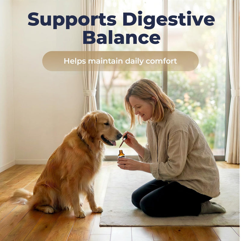 Dandelion Root Drops for Dogs – Herbal Liver Support & Digestive Support for Dogs, Supports Metabolic Balance & Daily Vitality, Liquid Dog Supplement, Gentle Daily Wellness Drops, 2 fl oz (60 mL)