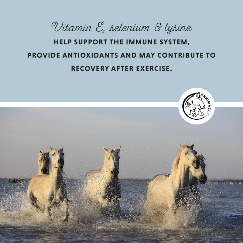 Annimally Vitamin E, Selenium & Lysine for Horses 800 g - Daily Supplement Powder for Muscle Support with Vitamin E, Selenium & Lysine, Made in Germany