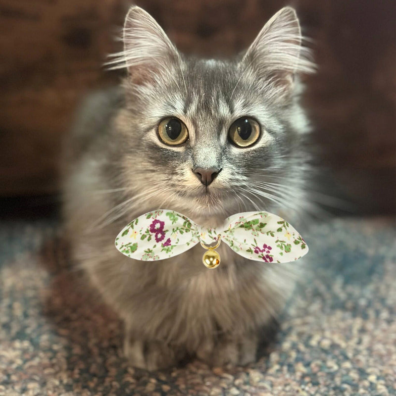 Bowtie Cat Collar with Bell, 2 Pack Cotton Breakaway Kitten Collars with Removeable Bow Stylish Cat Collars, Floral Green & Plaid 7.5-11.4 Inch (Pack of 2) Floral Green+Plaid - BeesActive Australia