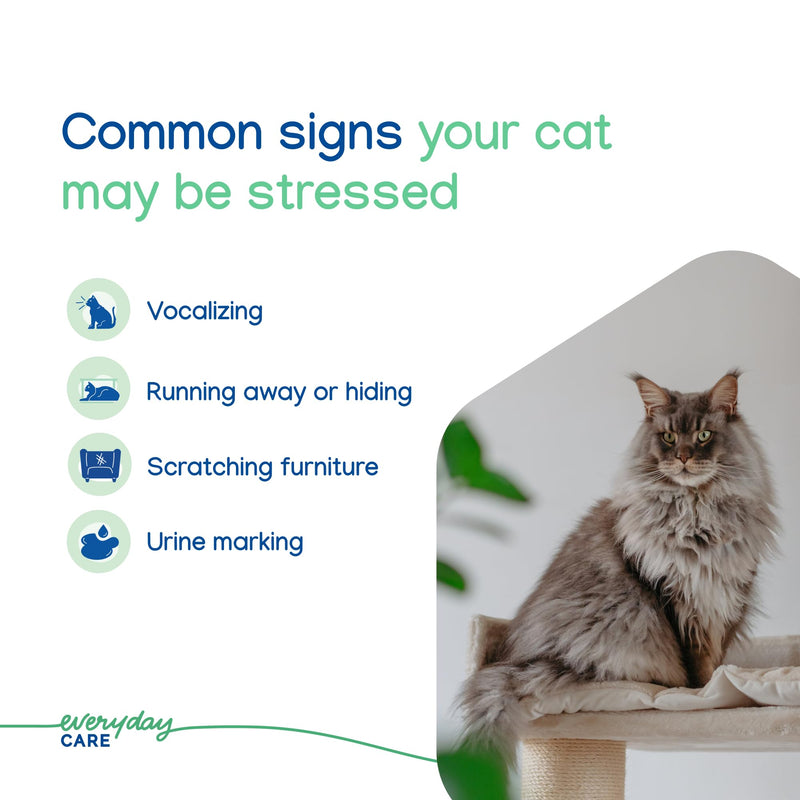 Virbac ZENIFEL™ Spray | Managing Stress-Related Behaviors in Kittens & Cats | Quick-Acting - Ideal for Unexpected Stressful Situations