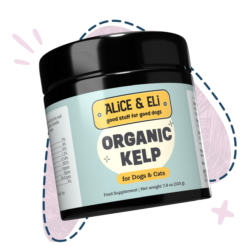 Alice & Eli Organic Kelp Powder for Dogs – Supports Healthy Coat, Thyroid & Immune System - Multivitamin Seaweed Powder from Canada