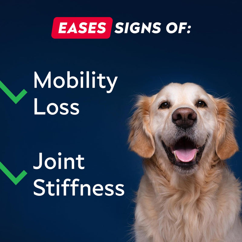 STRELLALAB Advanced Joint Supplements for Dogs Chews - Joint Aid Glucosamine for Dogs - Hip & Joint Health Care with Glucosamine & Chondroitin - Made in UK - Senior & Adult - 120Ct - BBQ Pork 120 Joint Aid Treats