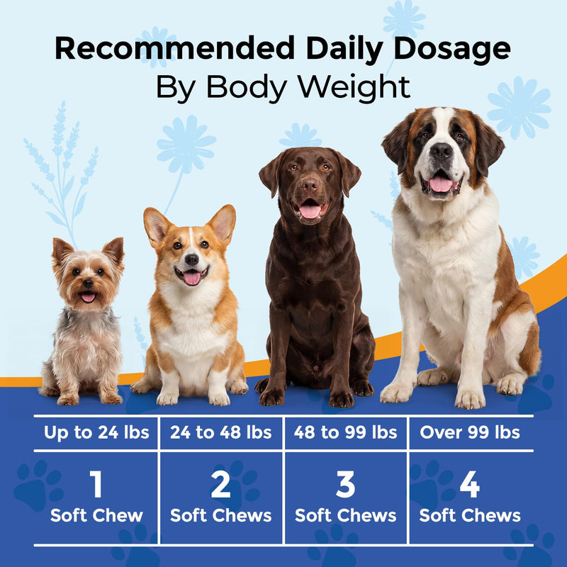 Calming Chews for Dogs L-Theanine L-Tryptophan Phosphatidylserine Valerian Chamomile Passion Flower Non-Sedating Relaxation Support All Breeds Puppy Adult Senior Chicken Flavor 120 Soft Chews
