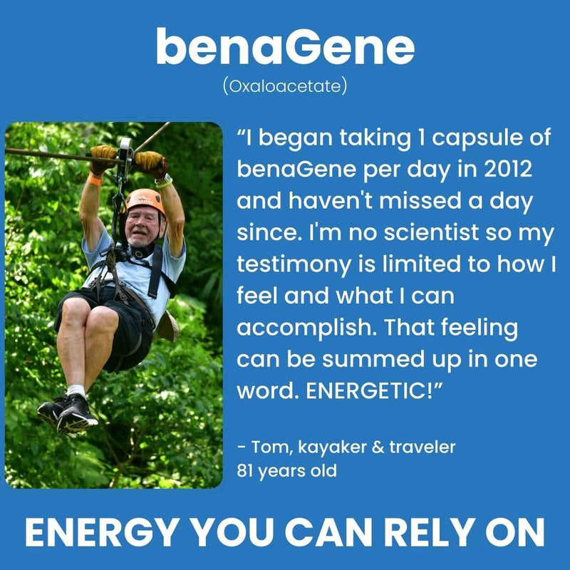 Benagene Oxaloacetate Supplement - Supports Cellular Energy - Thermally Stabilized with Vitamin C - Non-GMO & Vegan - 30 Servings, Once Daily 30 Count (Pack of 1)