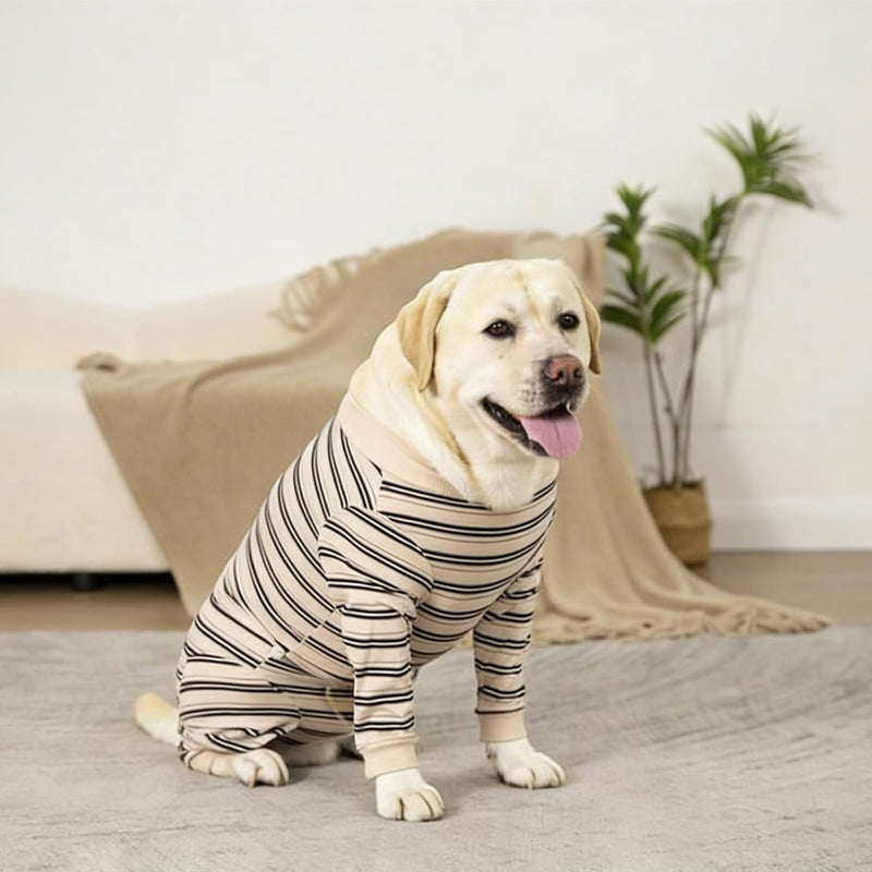 Dog Surgery Recovery Suit with Long Sleeves and Legs, Dog Romper with Zip, Full Body Coverage Pet Castration Suit, Dog Bodysuit After Surgery for Wound Protection (Beige, M) Beige