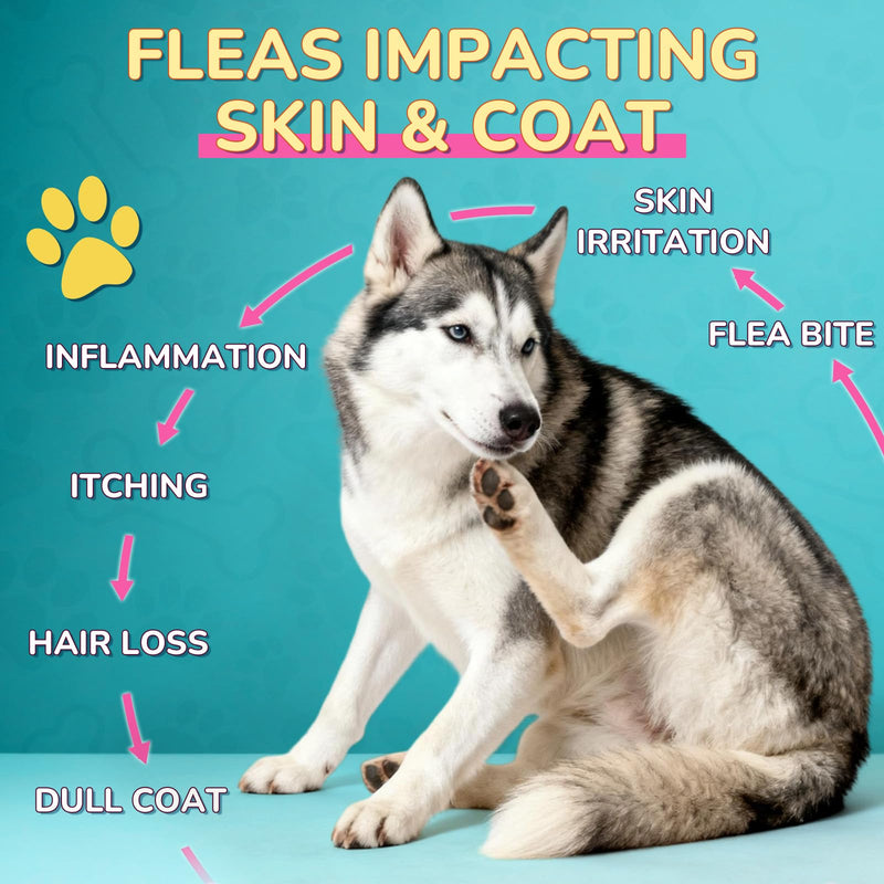 Woyamay Flea Defense + Skin & Coat Support, Natural Flea and Tick Prevention for Dogs & Cats, Dog & Cat Flea Treatment with Pumpkin Seed & Omega-3/6/9, Flea Drops for All Breeds & Ages, Chicken Flavor