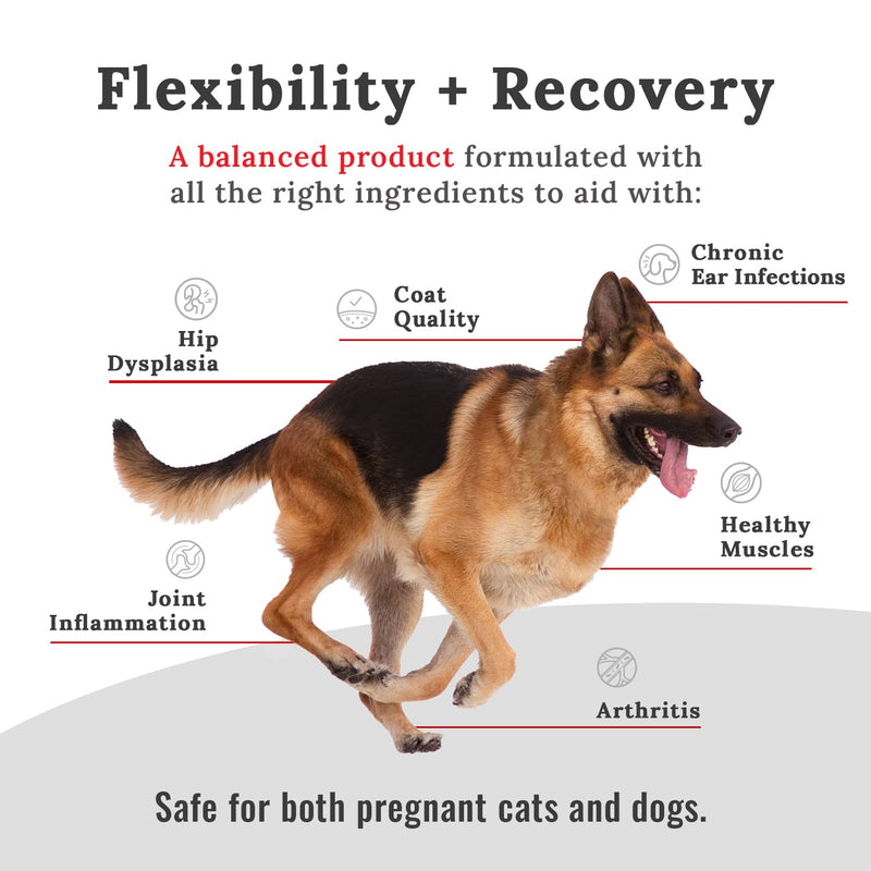 Mojo Joint Supplement for Dogs and Cats, Feline + Canine Food Grade Hip & Joint Supplement with Glucosamine and Chondroitin, Dog & Cat Mobility Supplement (Large, 16 oz) Large - PawsPlanet Australia