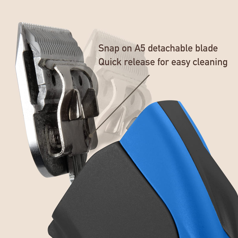 Detachable Blade - Size 10 Blade 1/16", Made of Extra Durable Japanese Steel, Compatible with Most Andis, Oster, Wahl A5 Clippers - BeesActive Australia