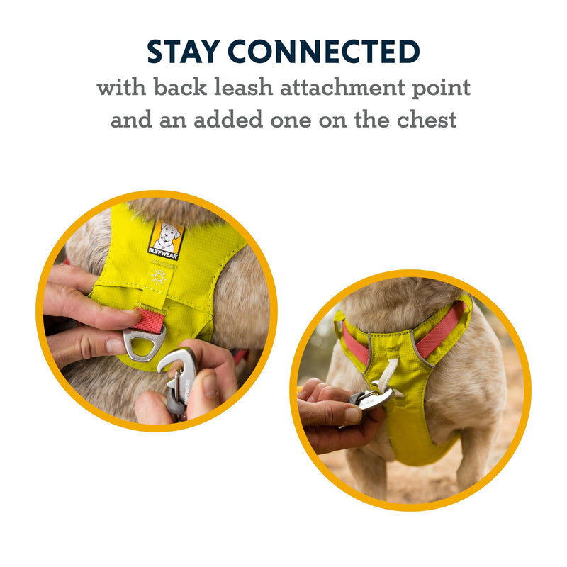 Ruffwear, Hi & Light, Everyday Lightweight Dog Harness, Trail Running, Walking, Hiking, All-Day Wear, Alpenglow Pink, Small - BeesActive Australia