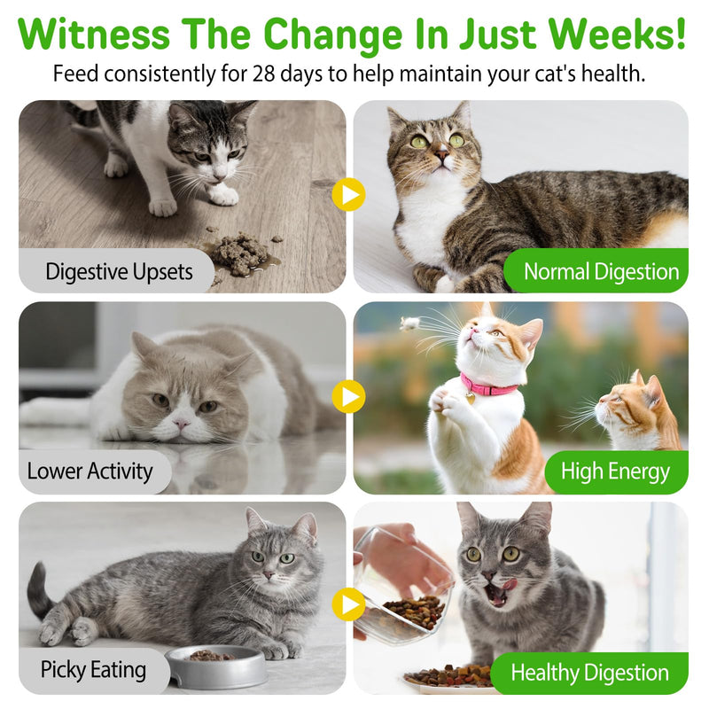 Hairball Cat Treats, Hairball Treatment with Psyllium Husk & Omega 3 for Cats, Digestive Health & Skin and Coat Support, Natural Soft Chews, Chicken Flavor for Picky Eaters, for Indoor Cats, Kittens &