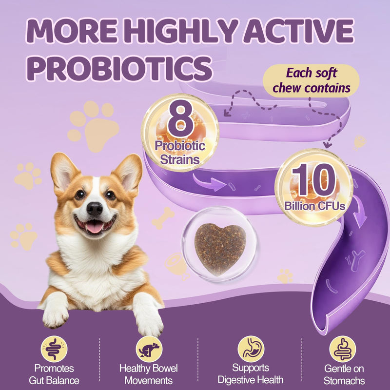 Probiotics for Dogs with Feeding Tweezers, 10 Billion CFUs Chews for Gut & Digestive Health, Itchy Skin & Ears, Diarrhea Relief & Immune Support with 8 Probiotic, Prebiotics, Chicken, 120 Ct/300g