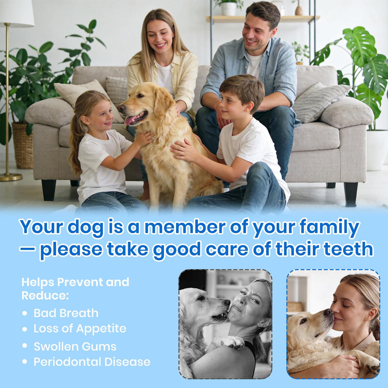 Dog Plaque Remover for Teeth,Pet Ultrasonic Tooth Cleaner with LED Light,Cleaning Kit for Tartar and Stains,5 Adjustable Modes,Pet Teeth Cleaning kit,Suitable for Dogs and Cats (Green) Green