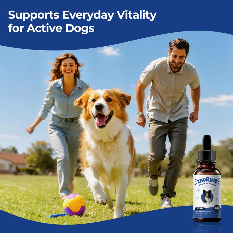Taurine Supplement for Dogs Liquid Drops Amino Acid Support for Heart Health & Muscle Function, Easy to Add Canine Nutrition Supplement