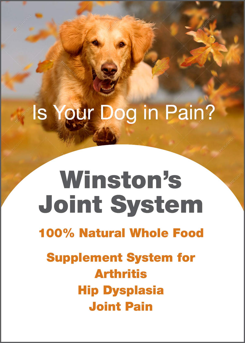 Joint System - for Smaller Dogs Under 40 Pounds - 100% Natural Whole Food Supplement System for Arthritis, Hip Dysplasia and Joint + Pain Relief - One Month Supply - Since 1992 - PawsPlanet Australia