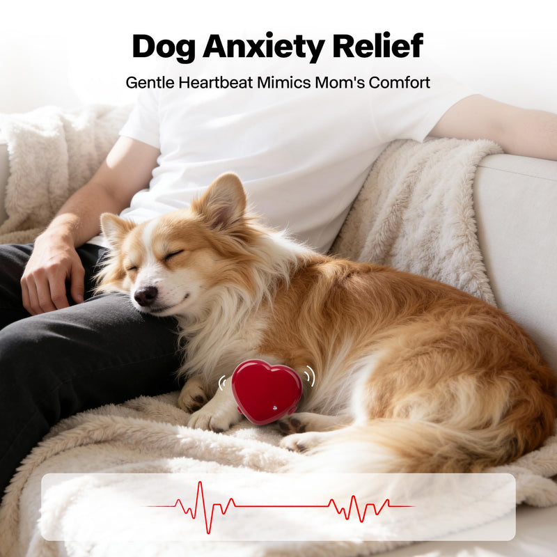 Pet Prime Heartbeat Simulator for Heartbeat Toy - Red Heart Design, Separation Anxiety Relief, 45+ Hour Battery, Timer & Speed Adjustable Adjustable Heartbeat Simulator