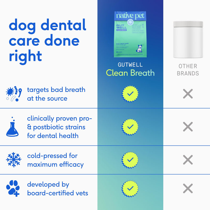 Native Pet Fresh Breath Bundle: 60 Scoops GutWell Clean Breath - Dog Breath Freshener & 5 Small Yak Cheese Himalayan Dog Chews - Long Lasting Dental Sticks