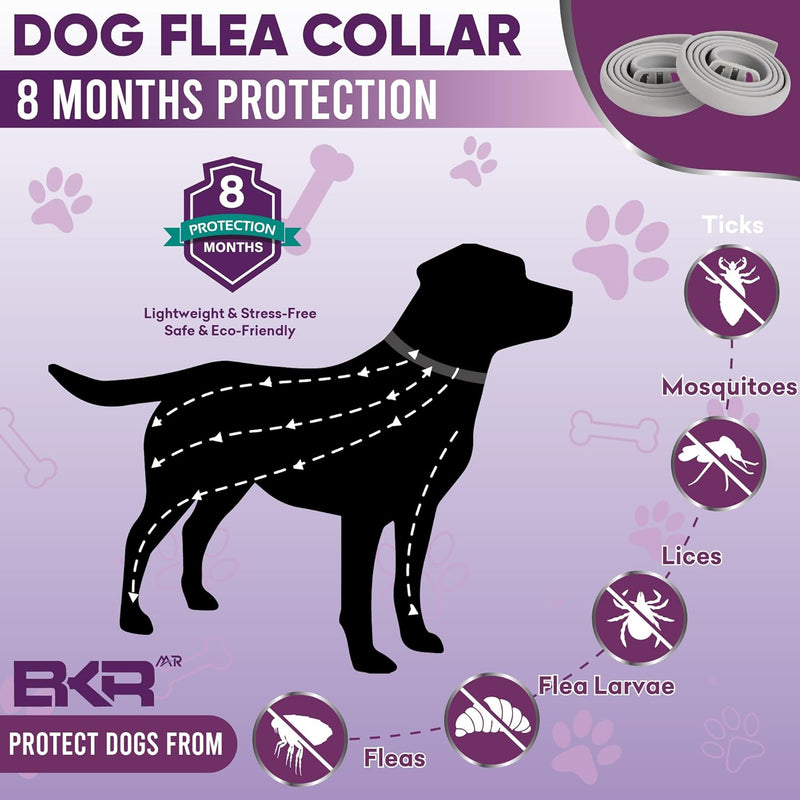 Flea Collar for Dogs 2 Pack 16 Months Protection Natural Flea and Tick Prevention for Dogs, One Size Fits for All Dog Flea Collar - BeesActive Australia