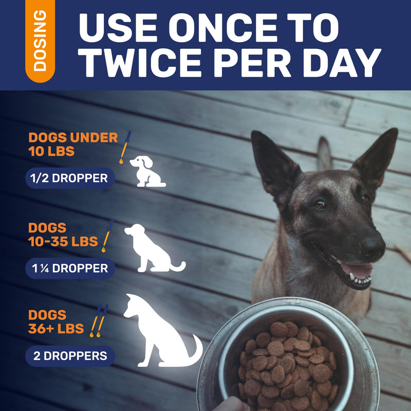 Dog Antibiotics ◆ Antibiotics for Dogs ◆ Natural Antibiotics for Dogs ◆ Antibiotic for Dogs ◆ Dog Antibiotic ◆ Beef Flavor ◆ 1 Oz - BeesActive Australia