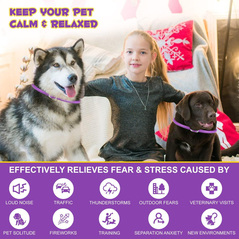 Fokroin 2 pack calming collar for dogs, anti-stress collar dog, adjustable calming collar for dogs, waterproof calming pheromone collar for dogs of all sizes - BeesActive Australia
