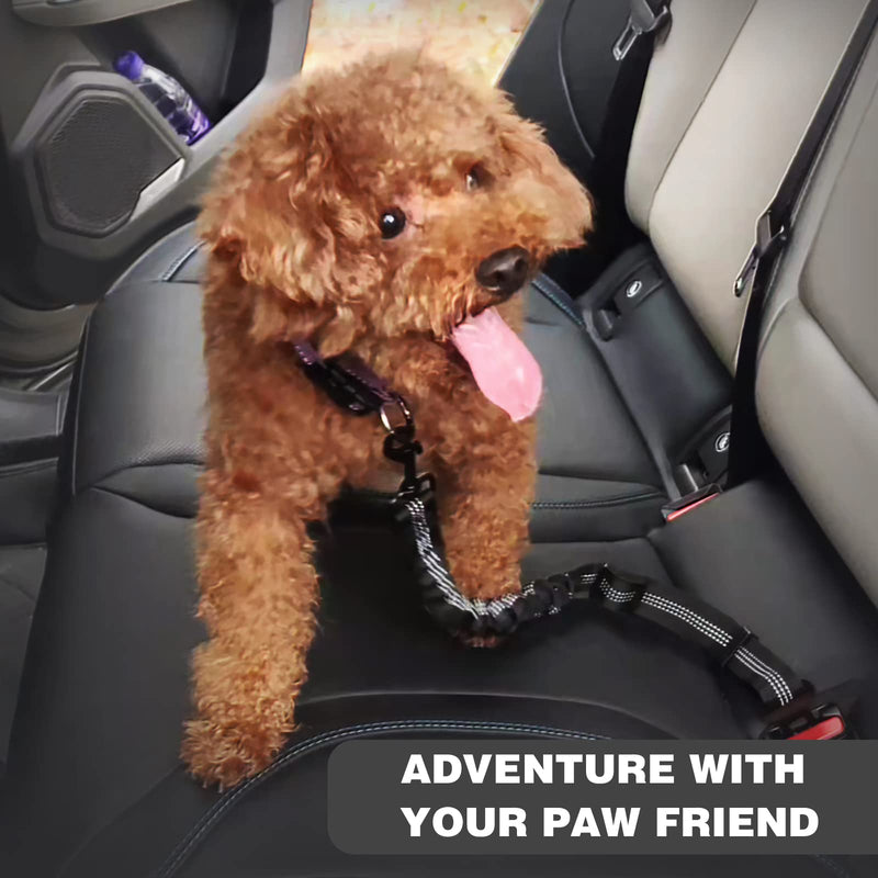 Dog Seat Belt,Retractable Dog Seatbelts Harness for Car,Adjustable Seatbelt Pet Safety Seat Belts with Elastic Bungee Buffer and Restraint Reflective (2 Piece/Black) 2 Piece/Black - BeesActive Australia