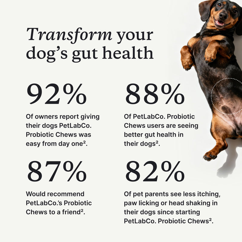 PetLab Co. Probiotics for Dogs, Support Gut Health, Occasional Diarrhea, Digestive Health & Seasonal Allergies - Pork Flavor - 30 Soft Chews - Packaging May Vary (Value 2-Pack)