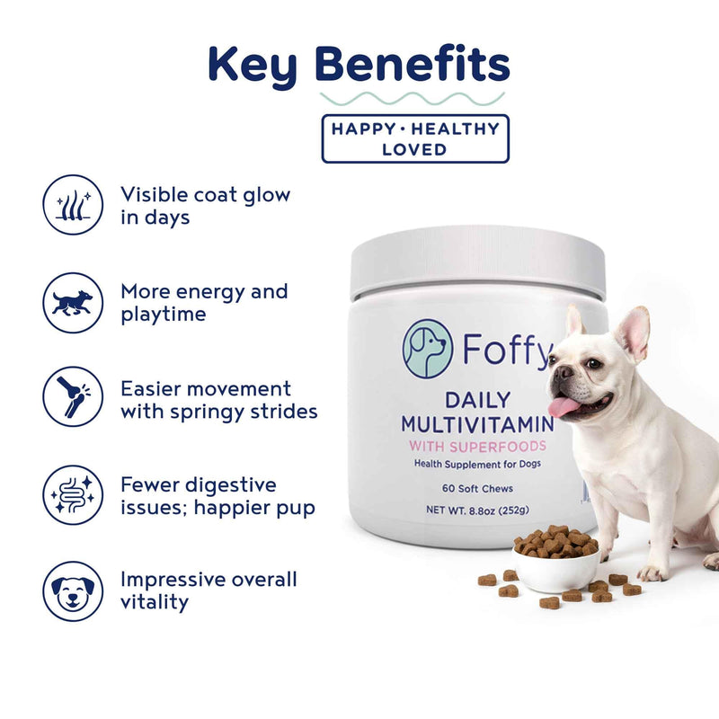 Foffy Daily Hip & Joint Multivitamin Soft Chew for Dogs with Superfoods, Probiotics, Plant-Based Omegas, kollaGen II-xs - Calms Skin, Reduces Inflammation, Improves Mobility & Promotes Longevity