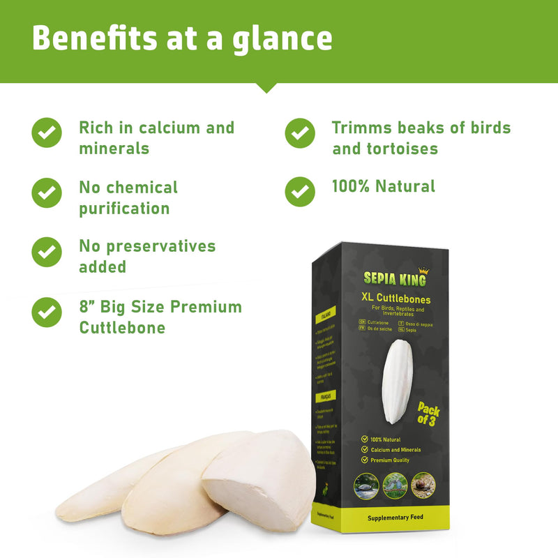 Extra Large - 100% Natural Calcium Supplement - Premium Cuttlebone Perfect for Birds, Tortoises, Snails, Reptiles - Pack of 3 - BeesActive Australia