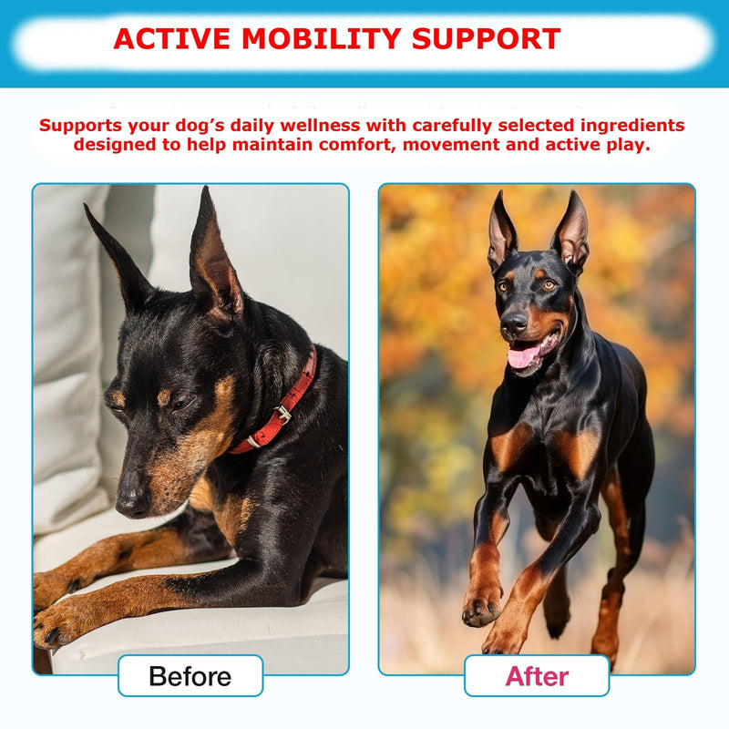 Joint Supplements for Dogs, Pain Relief for Dogs, Dog Joint Supplements for Senior Dogs, Chondroitin Drops for Dogs, Hip & Joint Glucosamine Drops for Dogs, Mobility Pain Relief, Natural Formula, 60ML