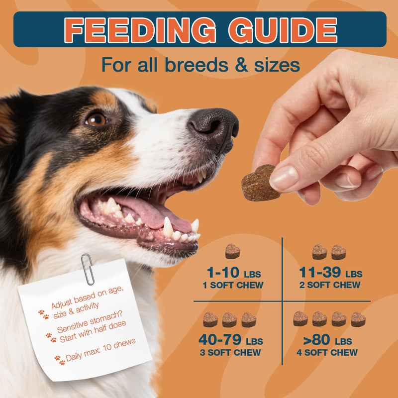 180 Chews Dog Allergy Chews, Itching Skin Relief, Natural Dog Allergy Relief Treatment for Paw Licking, Hot Spots, Anti-Itch, Dry Skin, Allergies & Immune Support Supplement 180-Cts