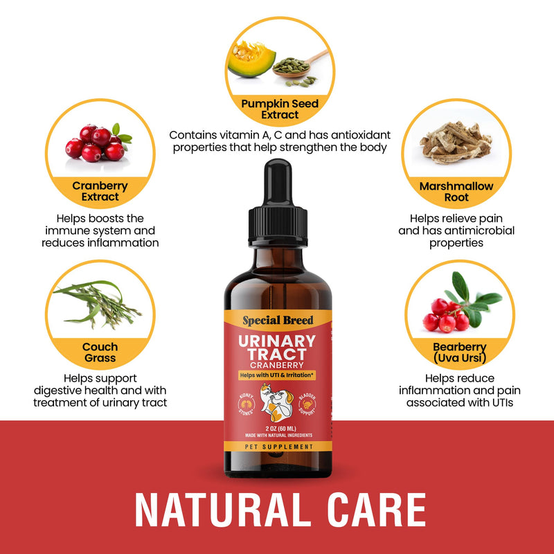 Urinary Tract Infection Treatment for Cats and Dogs - Cranberry UTI Supplement, Kidney and Bladder Support, 2 oz 2oz - BeesActive Australia