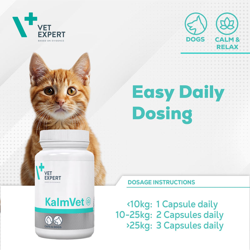 Vet Expert Kalmvet Stress and Anxiety Relief Supplement for Dogs and Cats – Promotes Relaxation with Chamomile, L-Tryptophan, and Valerian Root Extract 60 Twist off Capsules