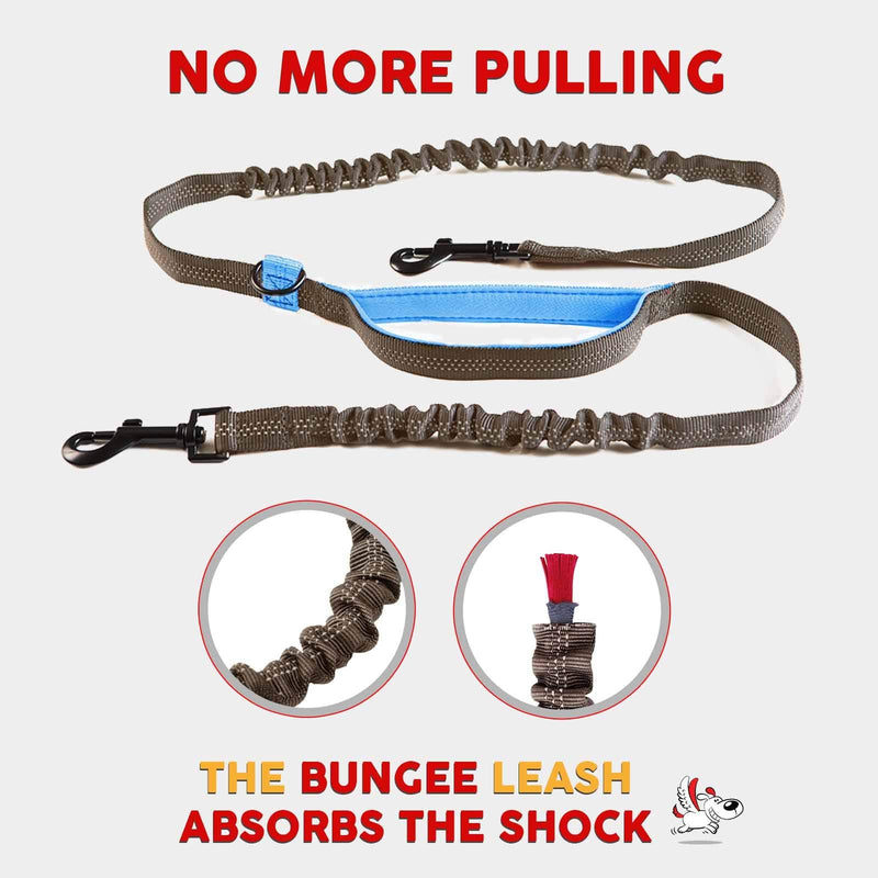 Exquisite Double Hands Free Leash for Large Dogs - Dog Leash 2 Dogs - Waist Dog Leash for Large Dogs - Two Dog Leash for Large Dogs - Hands Free Running Dog Leash (Large, Grey & Blue) Two Large Dogs (35-150 lbs each) - BeesActive Australia