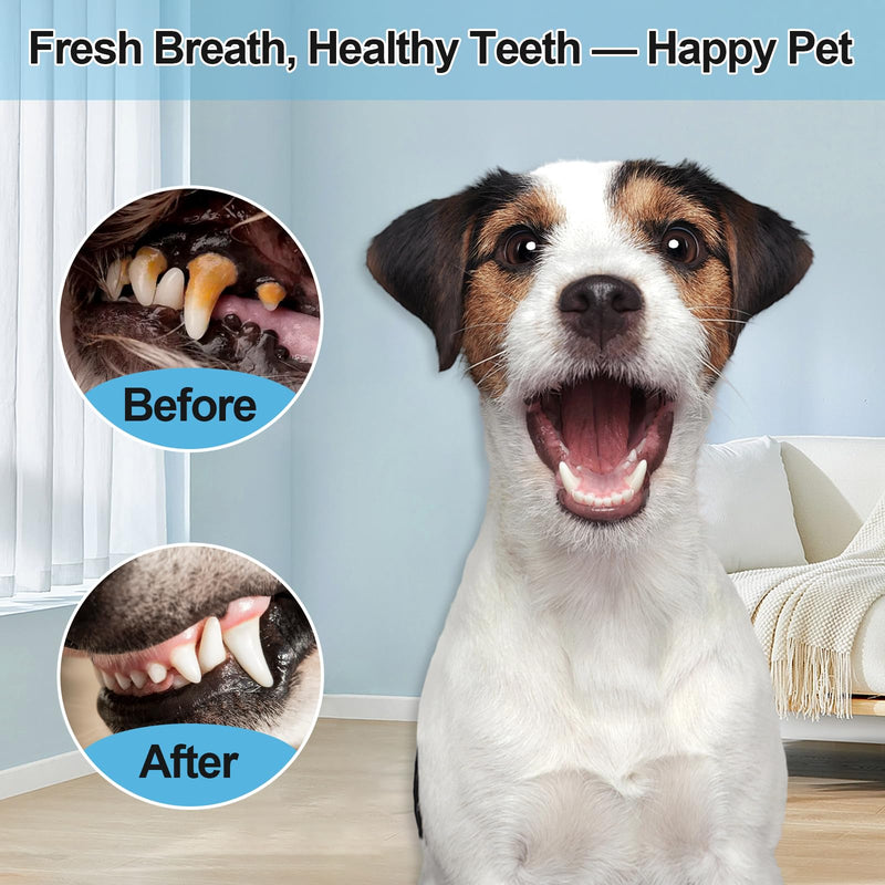 WanderGo Dog Plaque Remover For Teeth, Ultrasonic Plaque Remover for Teeth Dogs, 5 Cleaning Modes Dog Tooth Cleaner, USB Rechargeable Pet Teeth Cleaning Products