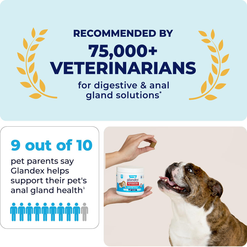 Vetnique Labs Glandex Advanced Strength Anal Sac Soft Chews with Fiber for Dogs, Digestive Enzymes, Probiotics - Veterinarian Recommended Vegetarian Duck & Bacon… (60ct Chew) 60ct Chew - BeesActive Australia