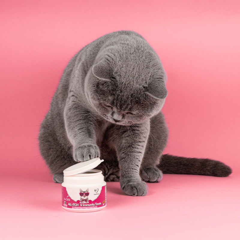 NutriPaw All-Itch Immunity Treats For Cats - Soothe Itchy Paws, Eyes, Ears, Skin - Stop Itching, Licking, Scratching & Excessive Grooming breeds - Supports Seasonal Itching All-Itch Chews
