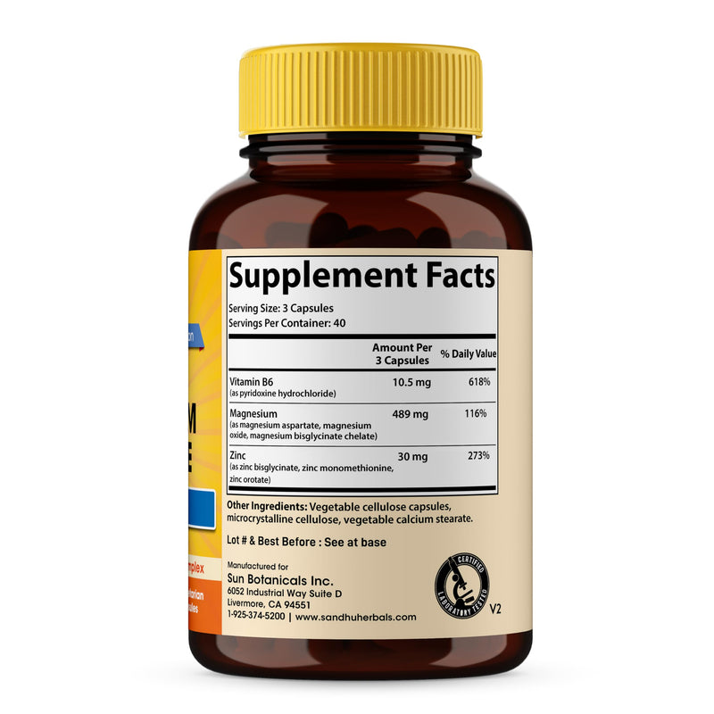 SANDHUHERBALS Zinc Magnesium Aspartate Supplement 120 Capsules| with Vitamin B6 & Zinc | High Absorption, Sleep and Immune Support | for Men & Women Magnesium Zinc Aspartate 120 Count (Pack of 1)