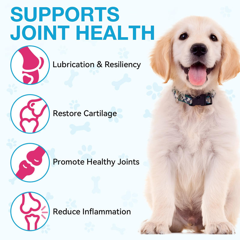 Joint Supplements for Dogs, Pain Relief for Dogs, Dog Joint Supplements for Senior Dogs, Chondroitin Drops for Dogs, Hip & Joint Glucosamine Drops for Dogs, Mobility Pain Relief, Natural Formula, 60ML
