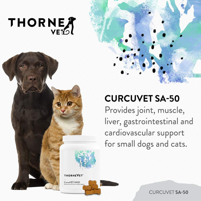 ThorneVet CurcuVET-SA50 – Joint, Muscle, Liver & GI Support for Small Dogs & Cats, 90 Soft Chews - PawsPlanet Australia
