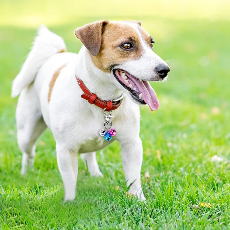 Cat Collar Bells Loud Dog Bell Training Charm Pendants for Pet Puppy Kitty Necklace Collar 5 PCS Colorful - BeesActive Australia