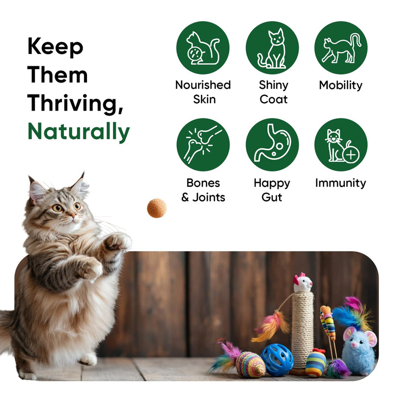 Hemp Oil for Cats 60ml - Pure, Natural & Cold-Pressed - Cat Calming Products for Loud Noises, Car Rides & Home Alone - Rich in Omega 3, 6 & 9 - Cat Calmer for Skin, Coat, Bones & Joints