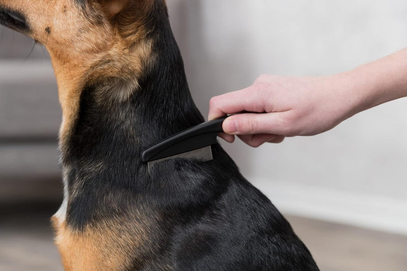 TRIXIE Pet Grooming Flea Comb for Cats, Dogs, and Small Animals, 6" (15cm) - BeesActive Australia