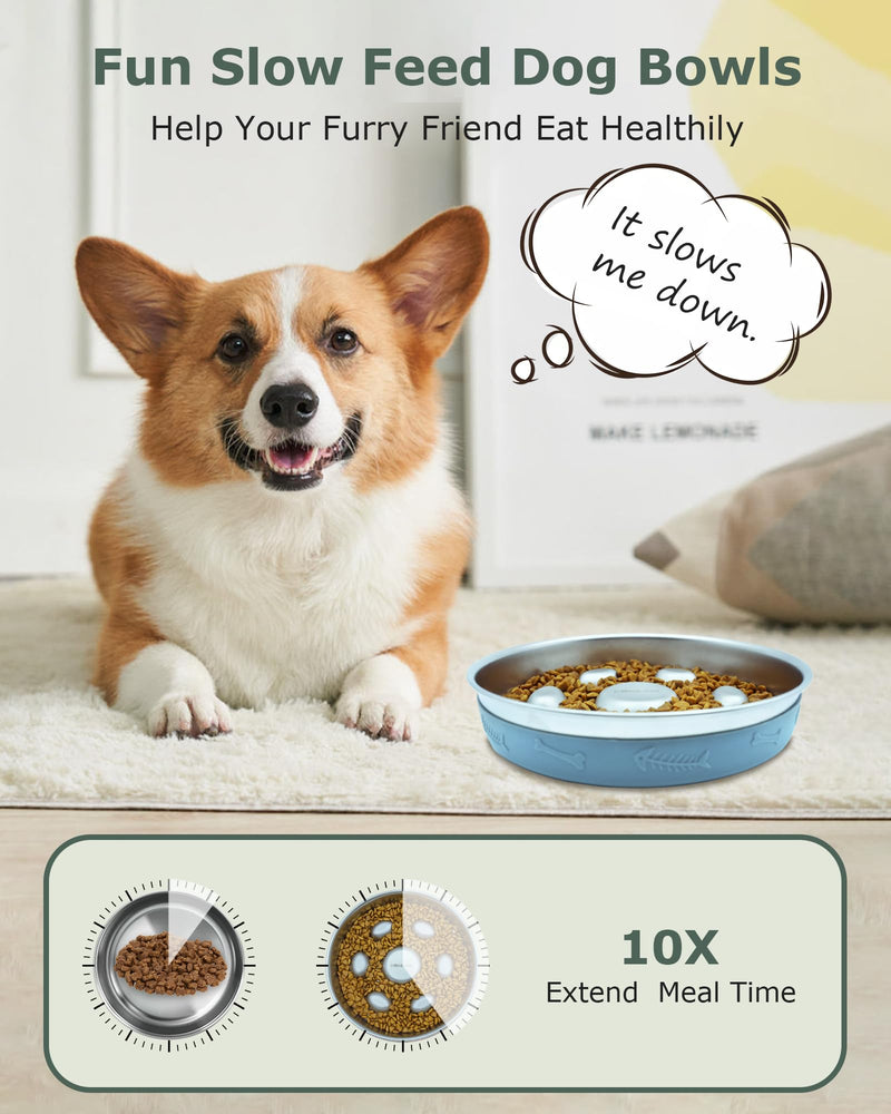 Slow Feeder Dog Bowl Stainless Steel,2-4 Cups Metal Dog Food Bowls with Non-Slip Silicone Mat,Slow Down Eating Pet Bowl for Small & Medium Sized Dogs - BeesActive Australia