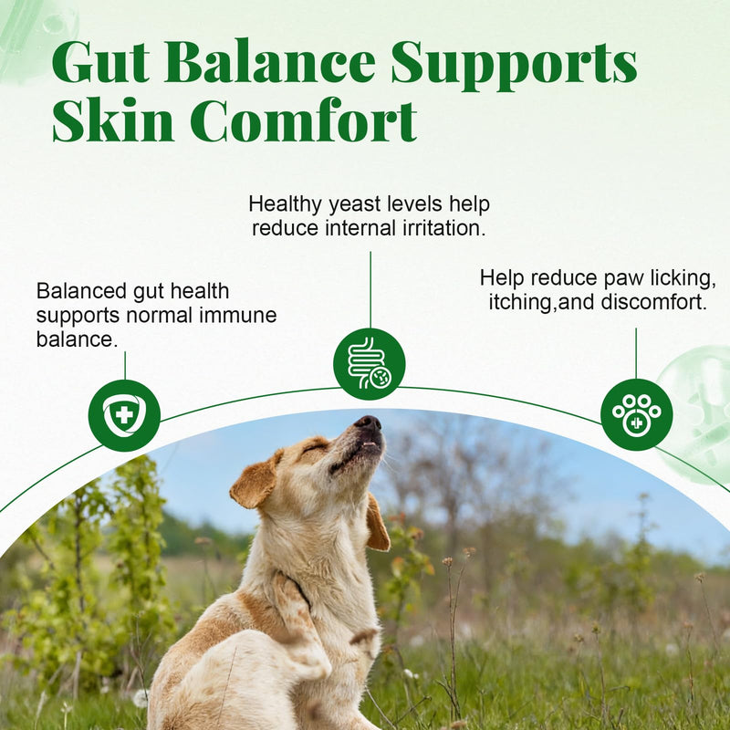 Probiotics for Dogs - Dog Probiotics & Enzymes – 12 Billion CFU 10 Strains, Psyllium Husk, Apple Cider Vinegar – Gut Health, Bloating Relief, Regularity Support – 120 Chews