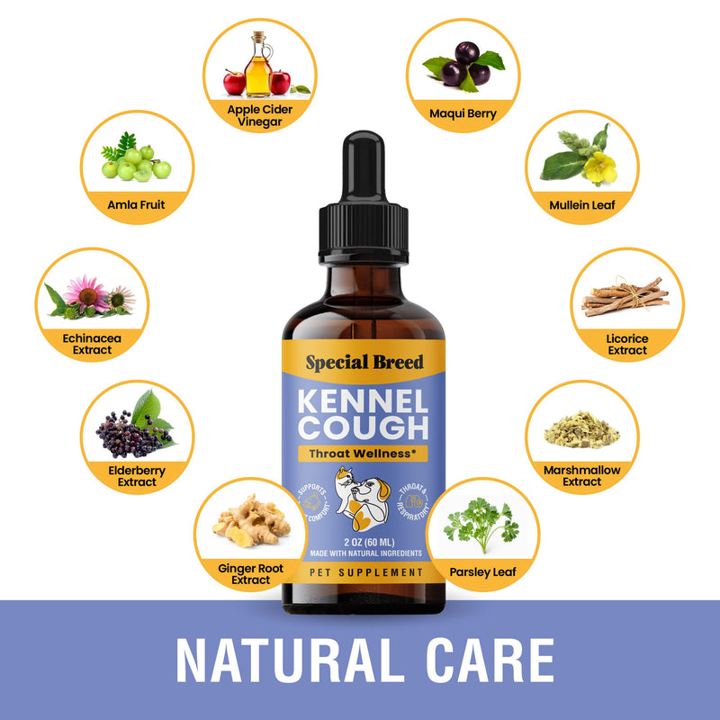 Kennel Cough Support for Dogs & Cats – Helps with Dry, Wet & Barking Cough – Herbal Pet Respiratory & Throat Support, Supports Breathing & Clear Airways – Natural Liquid Supplement – 2oz 2 Ounce