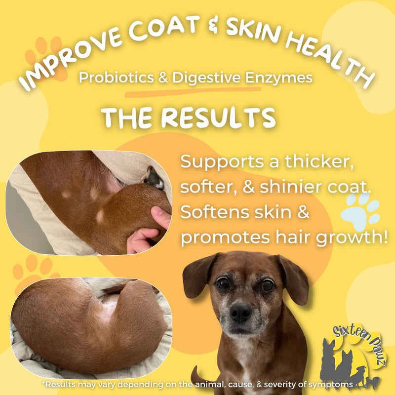 Probiotics, Prebiotics, & Digestive Enzymes for Dogs| Limited Ingredients| Organic |Digestive Support |Allergy Relief |Immune Support| Reduces Inflammation| Diarrhea & Gas Relief 65g - PawsPlanet Australia