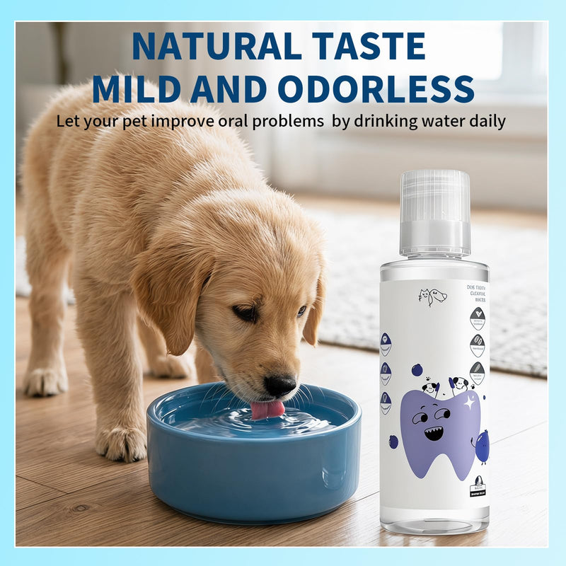 2 PCS PawBright Dental Plus,Natural, Odorless & Flavorless Teeth Cleaning Mouthwash to Fight Tartar,Promote Healthy Gums & Freshen Breath,Easy Daily Use for all Pet