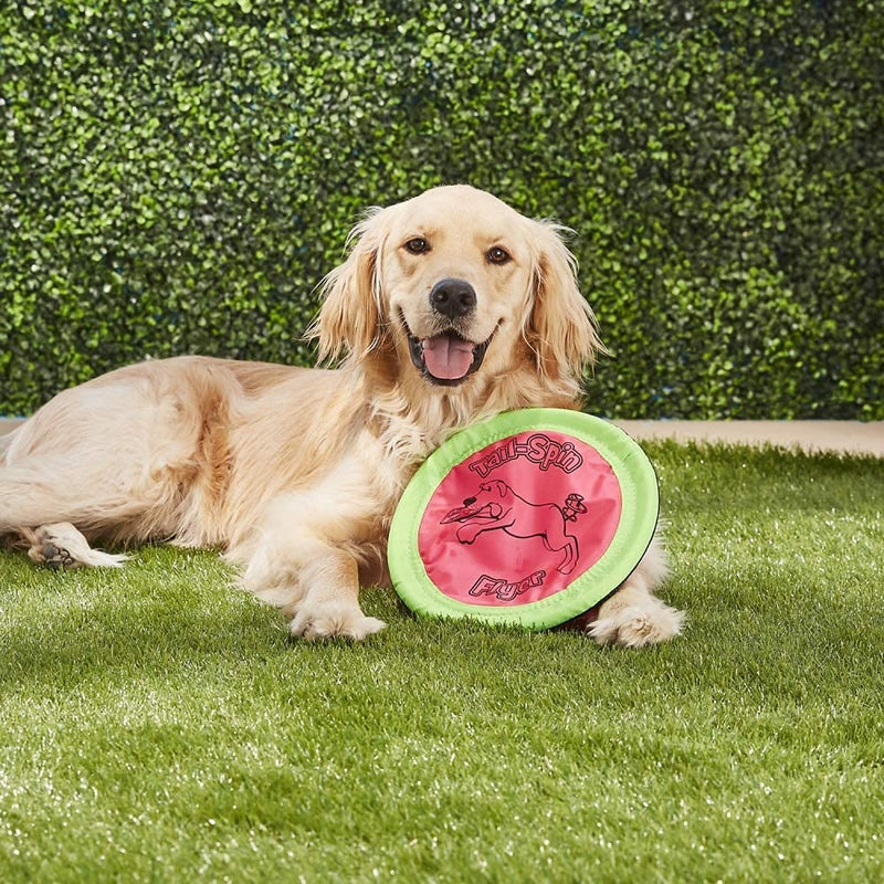 Booda Tail-Spin Flyer 10" Diameter Floppy Dog Frisbee (Pack of 2) - BeesActive Australia