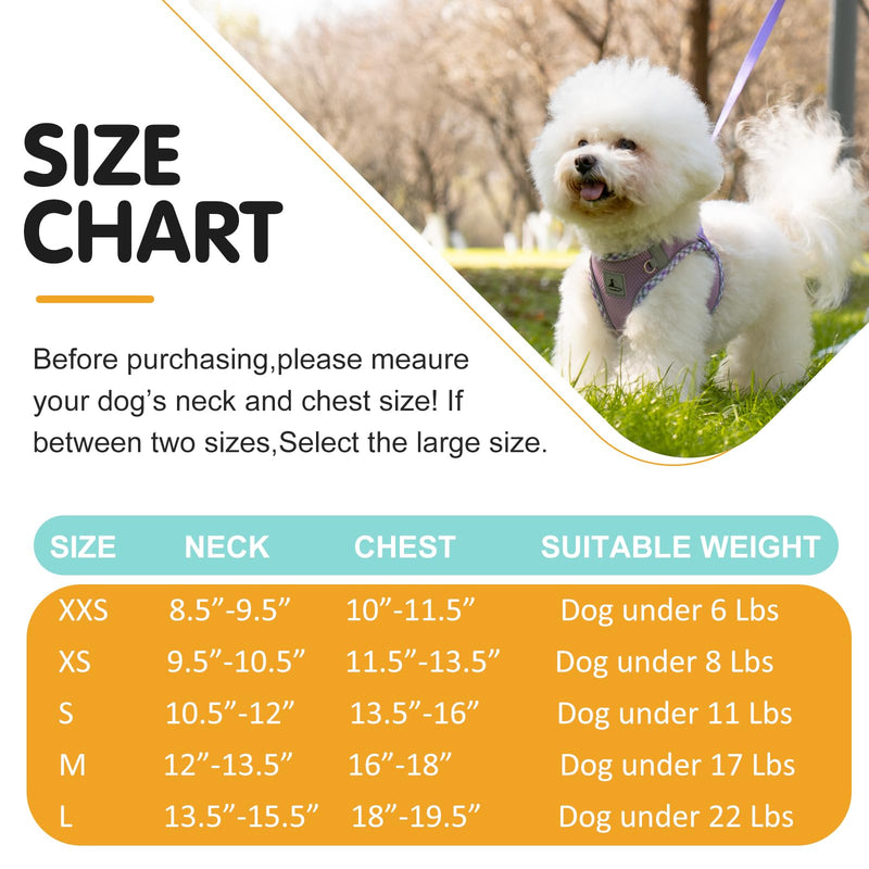 Dog Harness and Leash Set, No Pull Pet Harness for Small Dogs Easy Walking,Soft Breathable Small Dog Harness,Adjustable Reflective Step in Vest Harness for Puppy,Kitten, Cats XX-Small purple - BeesActive Australia